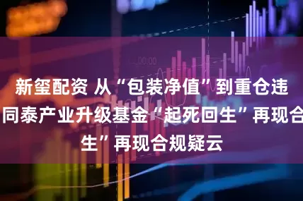 新玺配资 从“包装净值”到重仓违规个股 同泰产业升级基金“起死回生”再现合规疑云