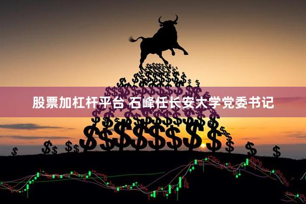 股票加杠杆平台 石峰任长安大学党委书记